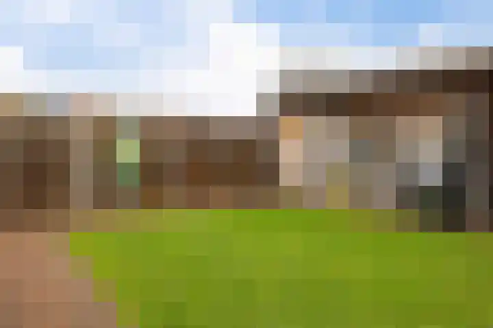 Aletta Jacobsstraat 9 Veenoord thumbnail 37