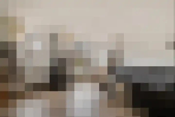 Aletta Jacobsstraat 9 Veenoord thumbnail 4