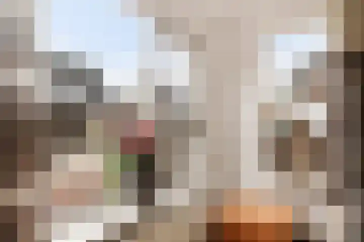 Aletta Jacobsstraat 9 Veenoord thumbnail 6