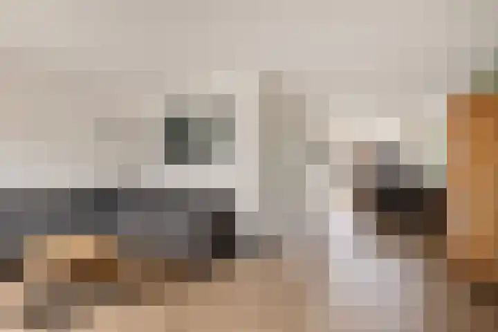 Aletta Jacobsstraat 9 Veenoord thumbnail 8