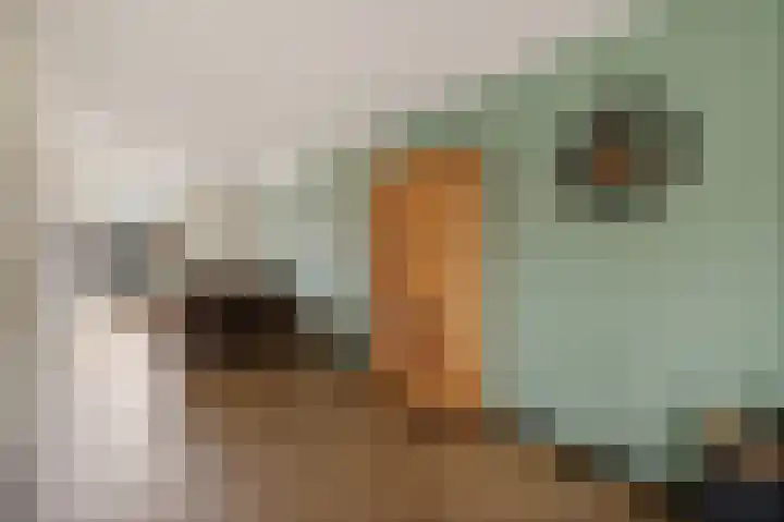 Aletta Jacobsstraat 9 Veenoord thumbnail 9