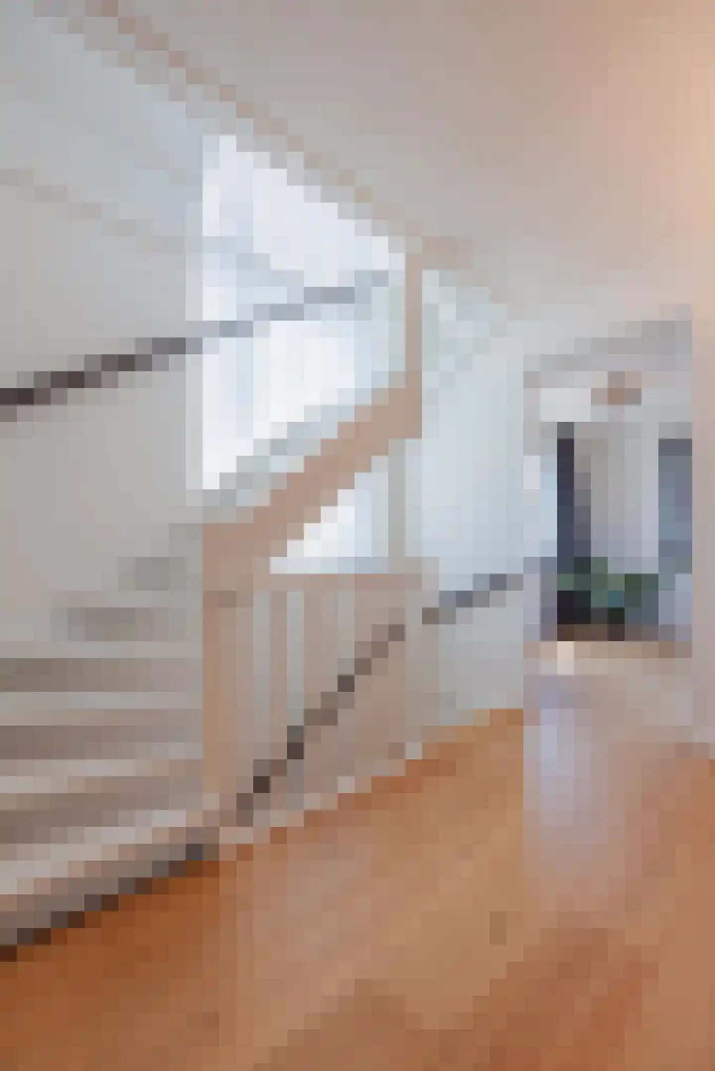 Aletta Jacobsstraat 9 Waspik thumbnail 35
