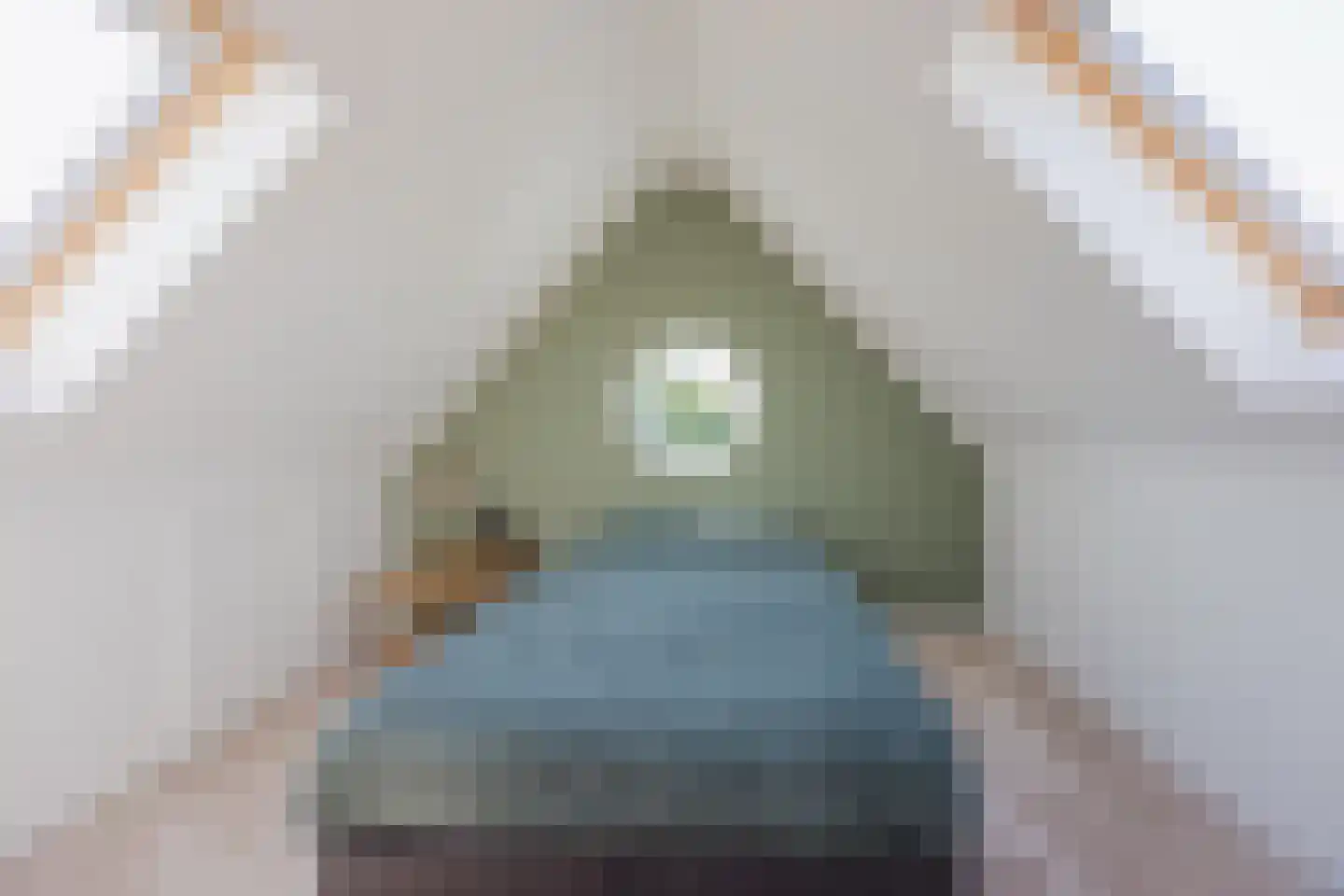 Aletta Jacobsstraat 9 Waspik thumbnail 38