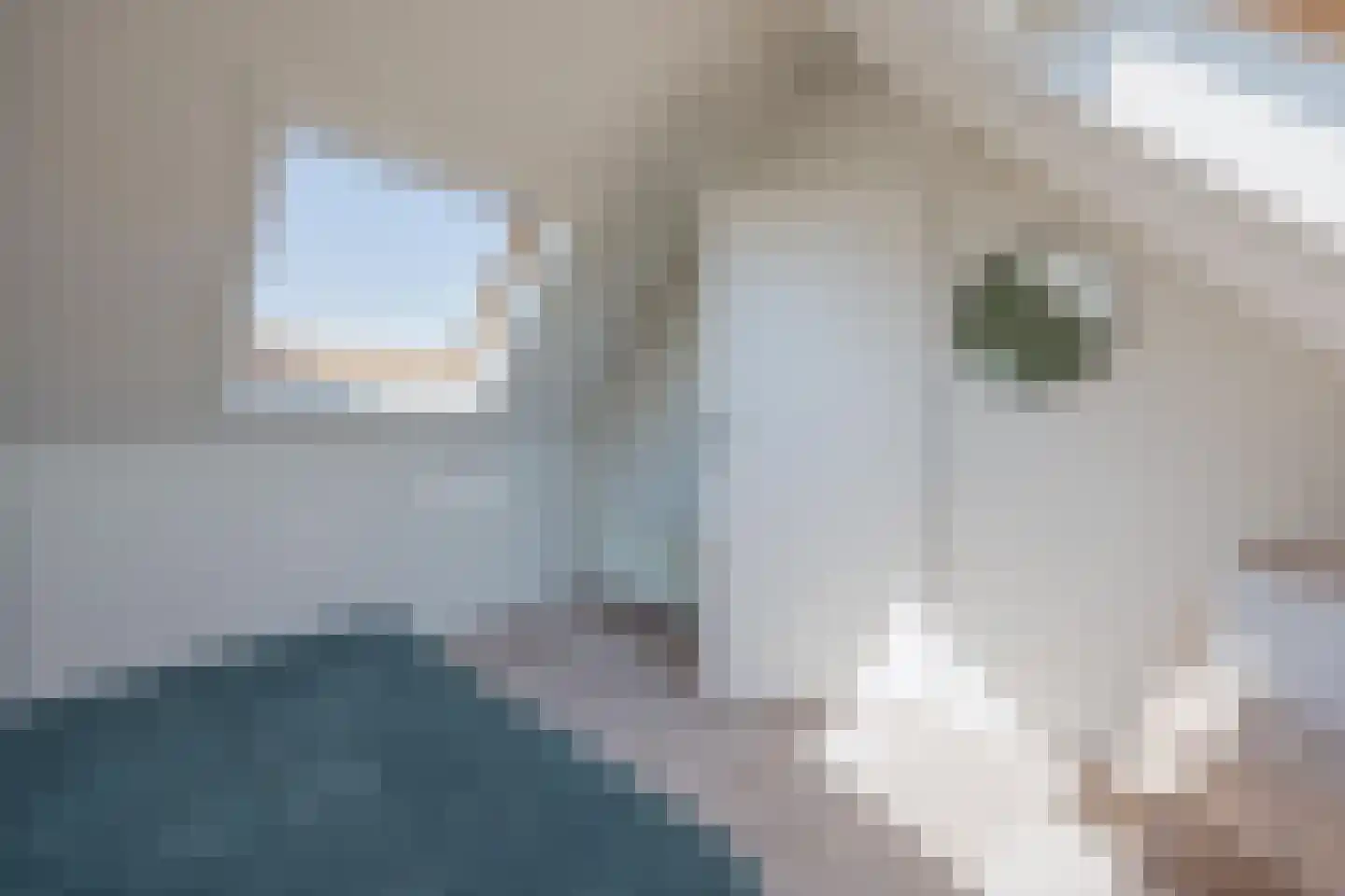 Aletta Jacobsstraat 9 Waspik thumbnail 39