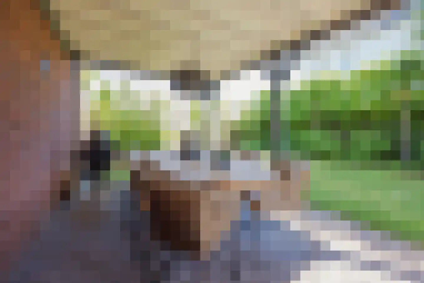 Aletta Jacobsstraat 9 Waspik thumbnail 42
