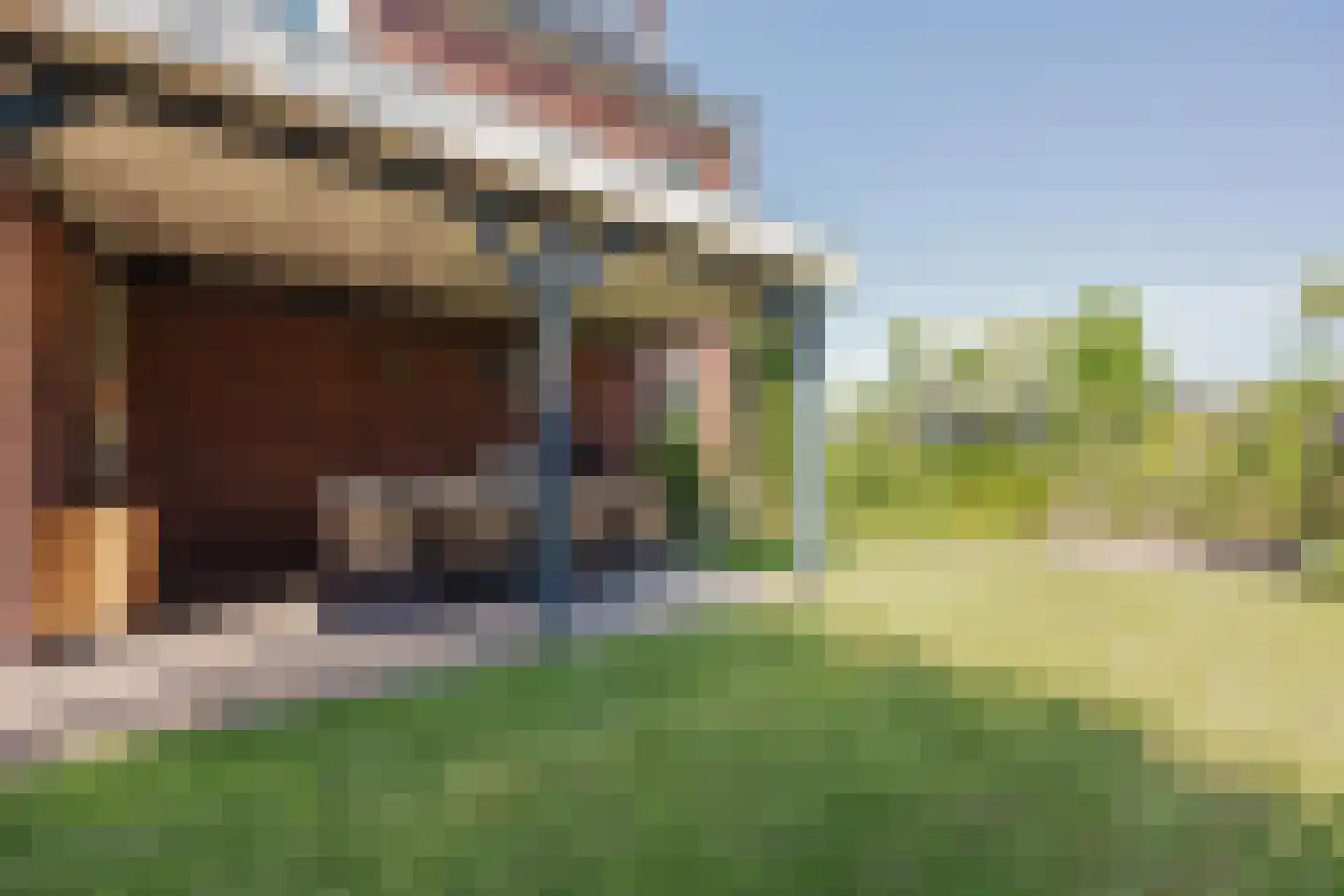 Aletta Jacobsstraat 9 Waspik thumbnail 43