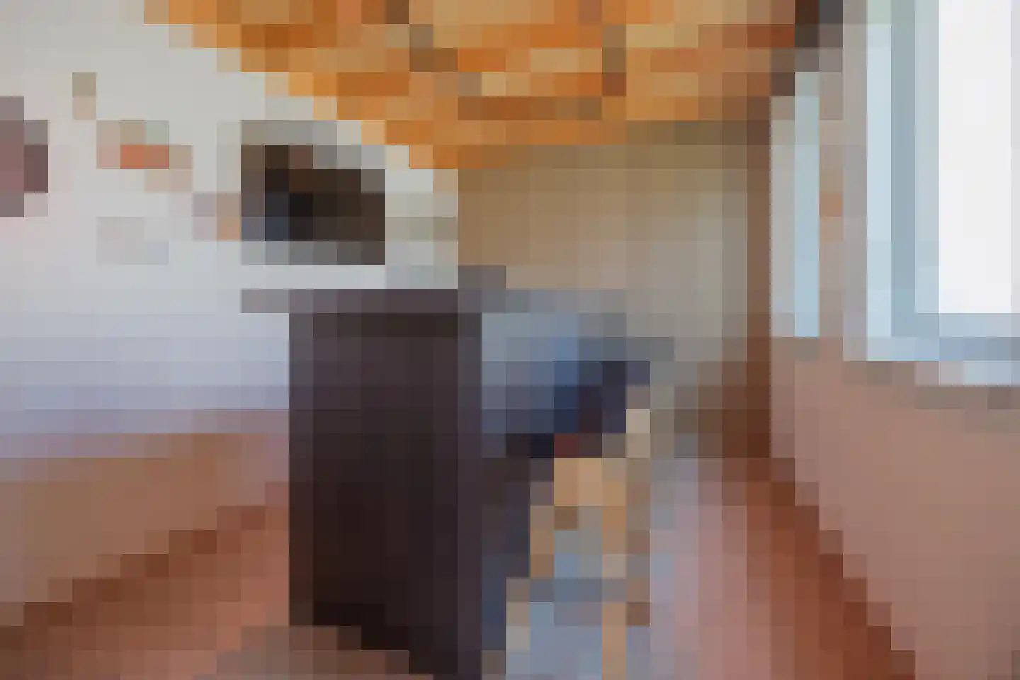 Aletta Jacobsstraat 9 Waspik thumbnail 57
