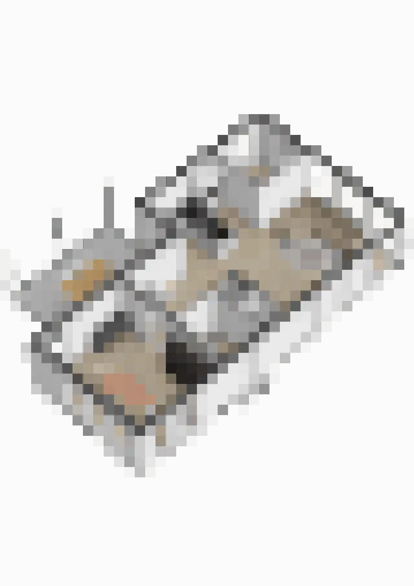Aletta Jacobsstraat 9 Waspik thumbnail 68