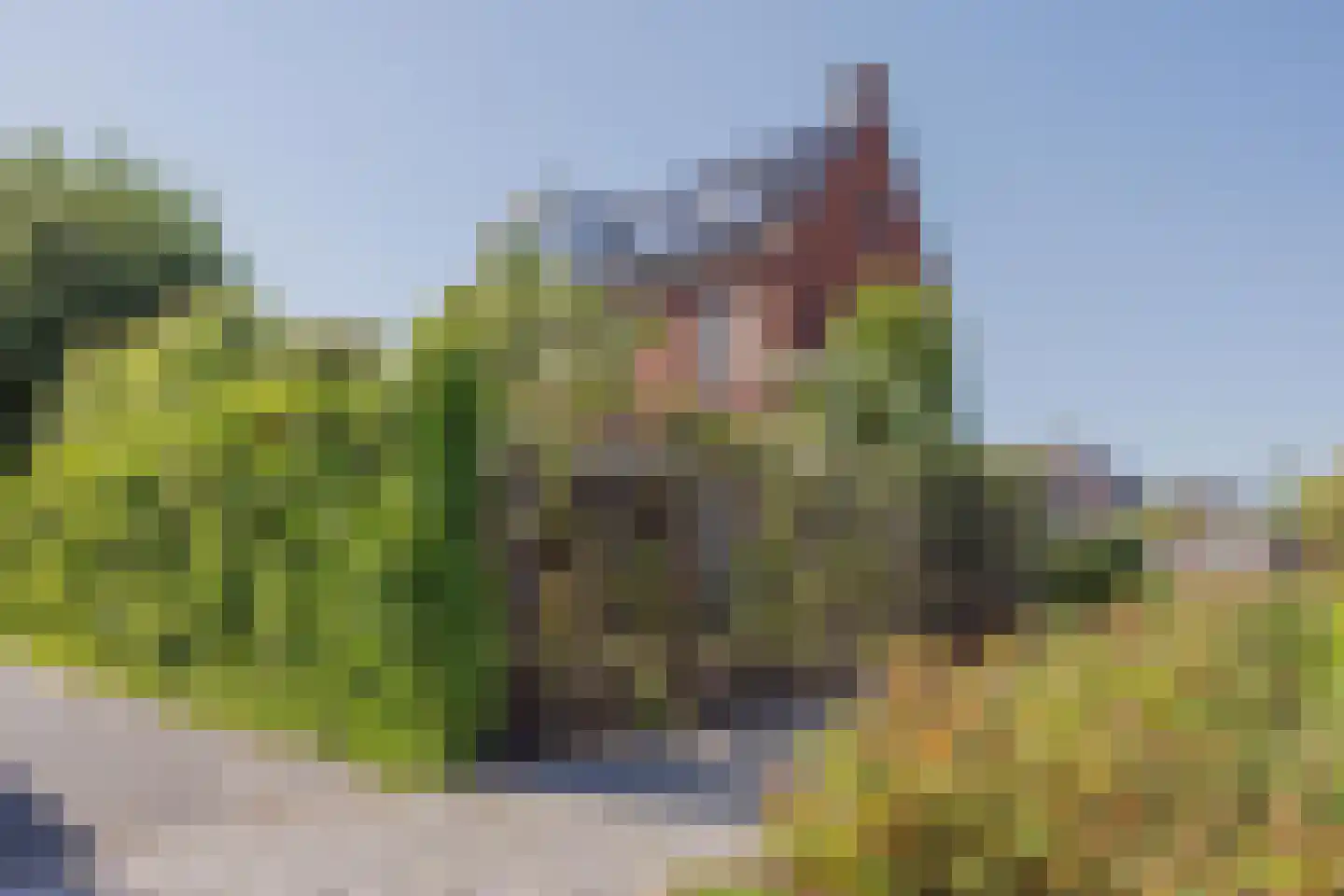 Aletta Jacobsstraat 9 Waspik thumbnail 8