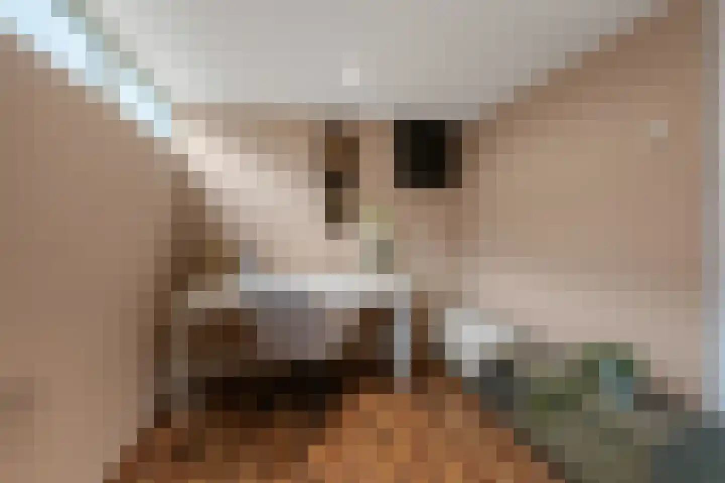 Aletta Jacobsstraat 98 Assendelft thumbnail 15