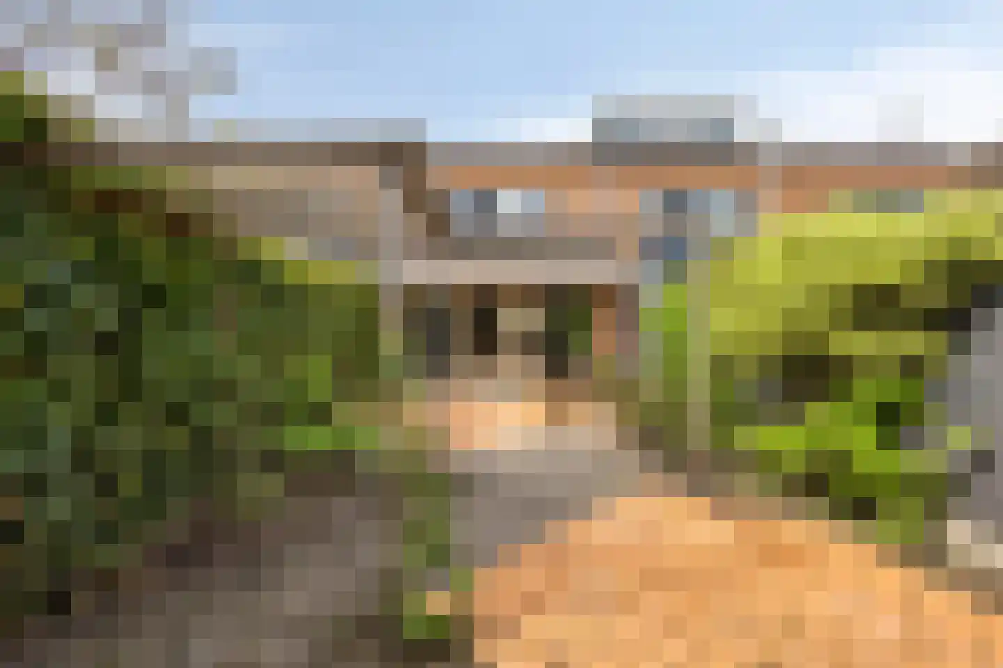 Aletta Jacobstuin 25 Heerhugowaard thumbnail 40