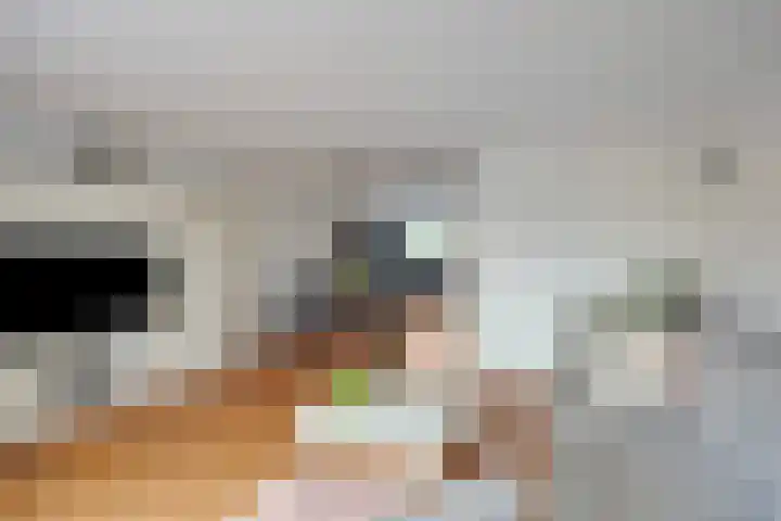 Aletta Jacobstuin 5 Heerhugowaard thumbnail 12