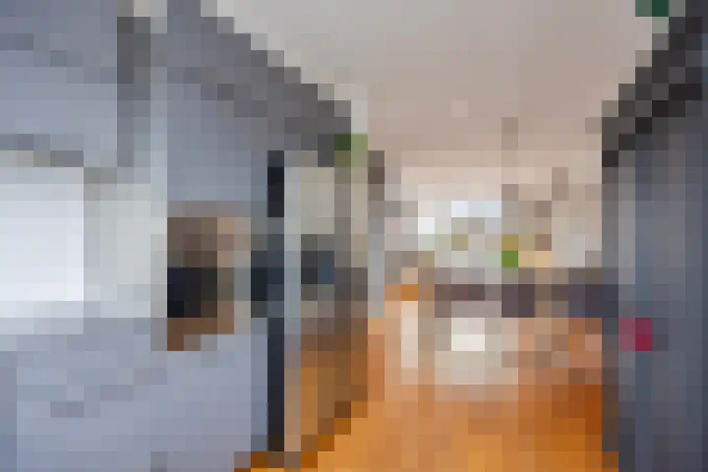 Aletta Jacobstuin 5 Heerhugowaard thumbnail 17