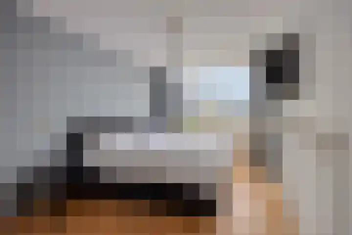Aletta Jacobstuin 5 Heerhugowaard thumbnail 24