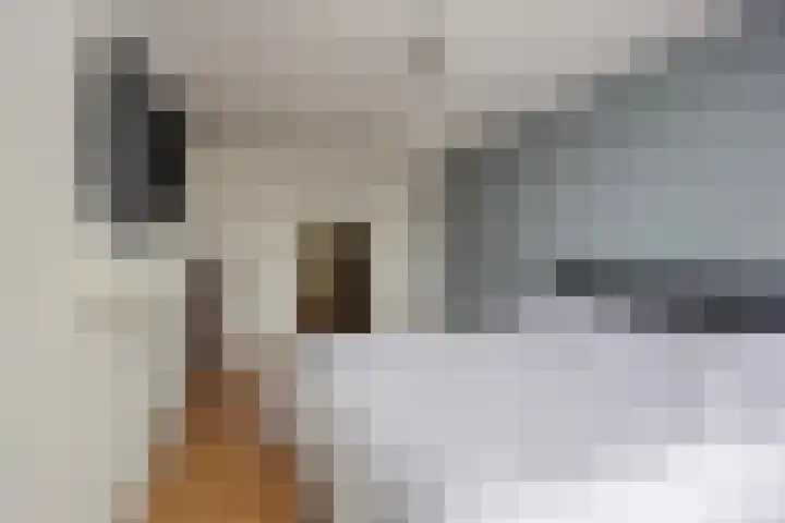 Aletta Jacobstuin 5 Heerhugowaard thumbnail 25