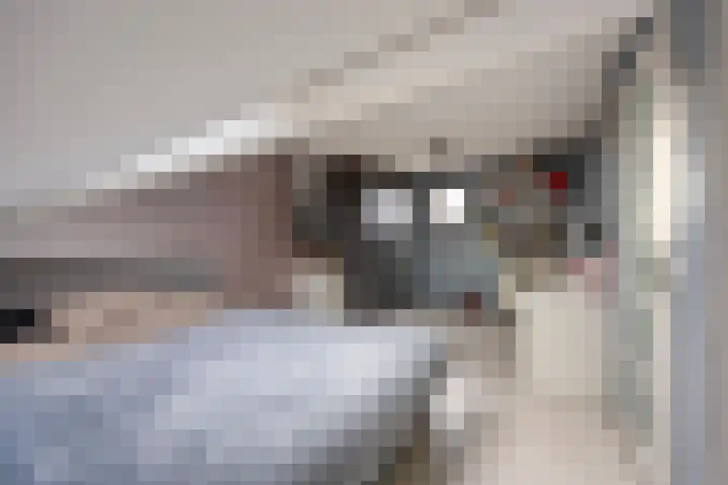Aletta Jacobstuin 5 Heerhugowaard thumbnail 35