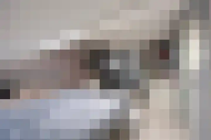 Aletta Jacobstuin 5 Heerhugowaard thumbnail 36