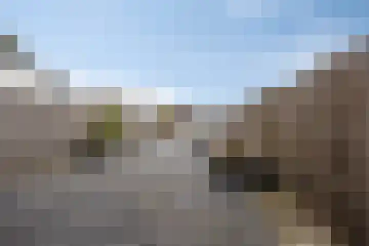 Aletta Jacobstuin 5 Heerhugowaard thumbnail 40