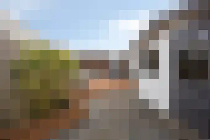 Aletta Jacobstuin 5 Heerhugowaard thumbnail 45