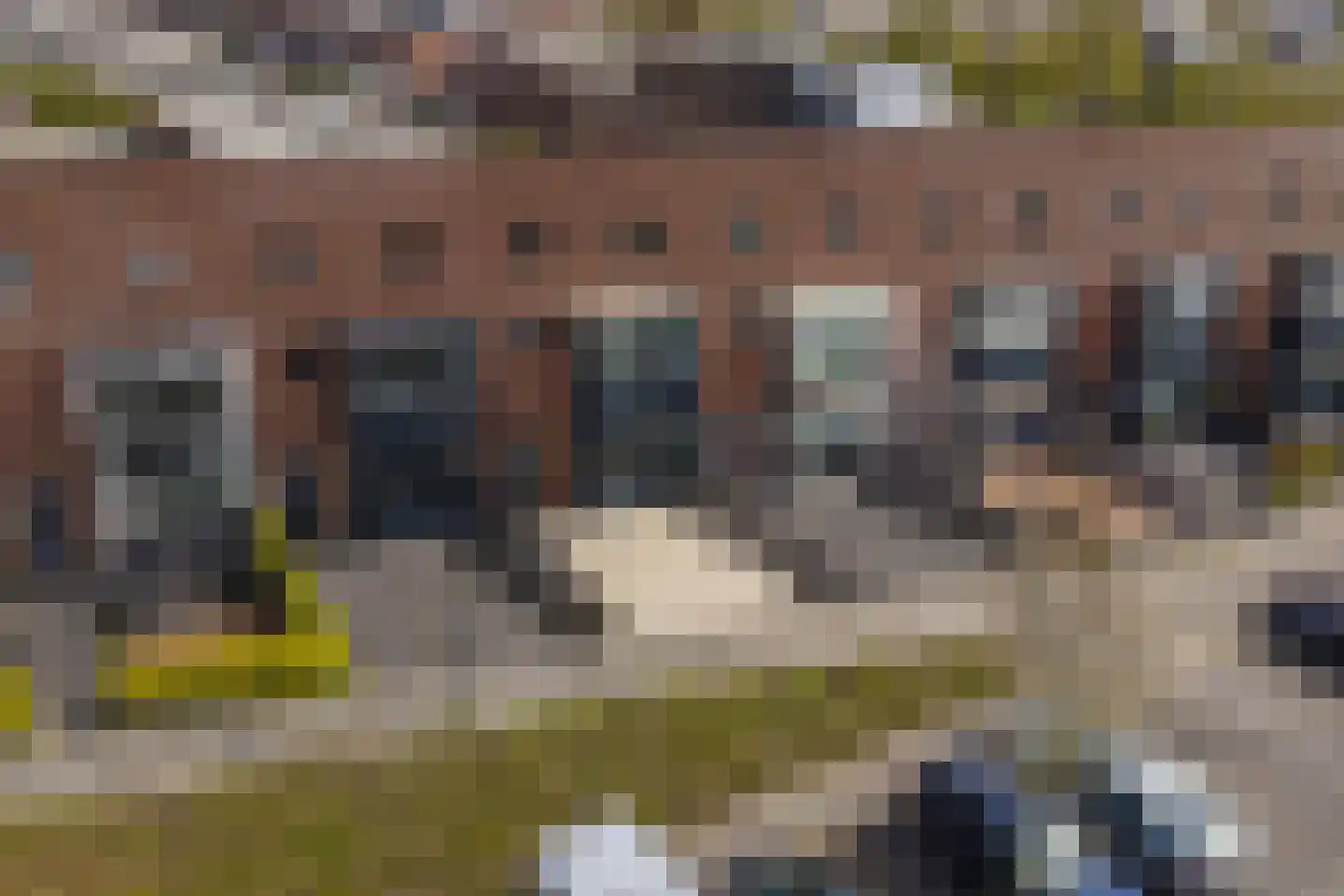 Aletta Jacobstuin 6 Heerhugowaard thumbnail 30