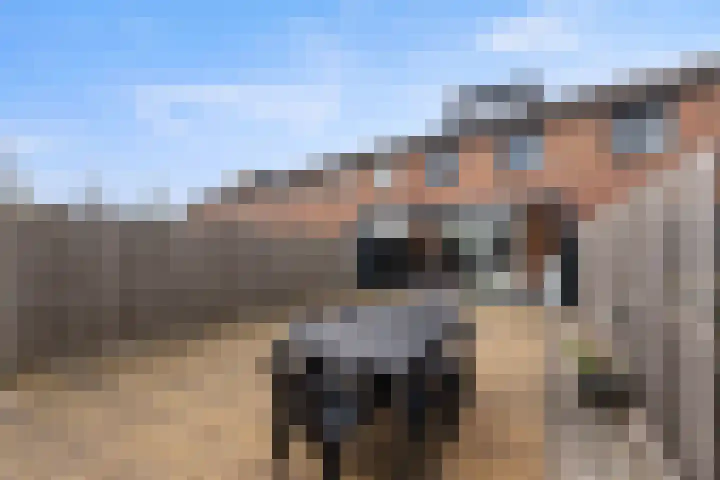 Aletta Jacobstuin 6 Heerhugowaard thumbnail 31