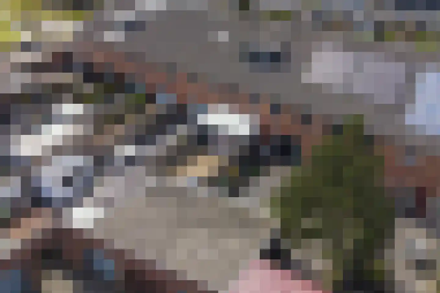 Aletta Jacobstuin 6 Heerhugowaard thumbnail 32