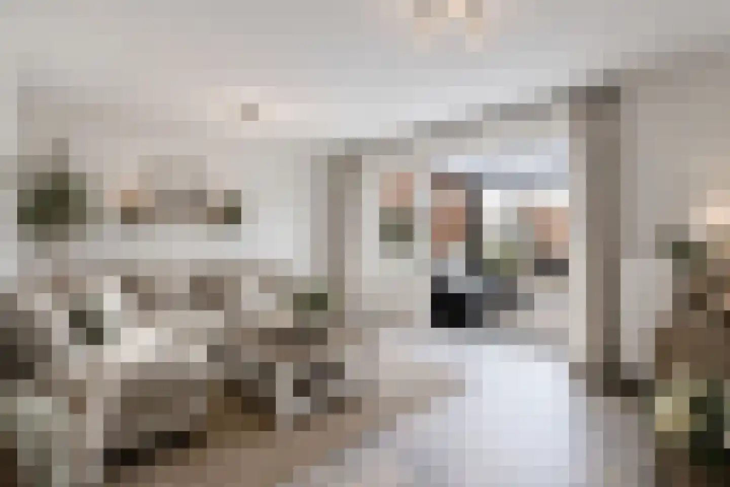 Aletta Jacobstuin 6 Heerhugowaard thumbnail 4