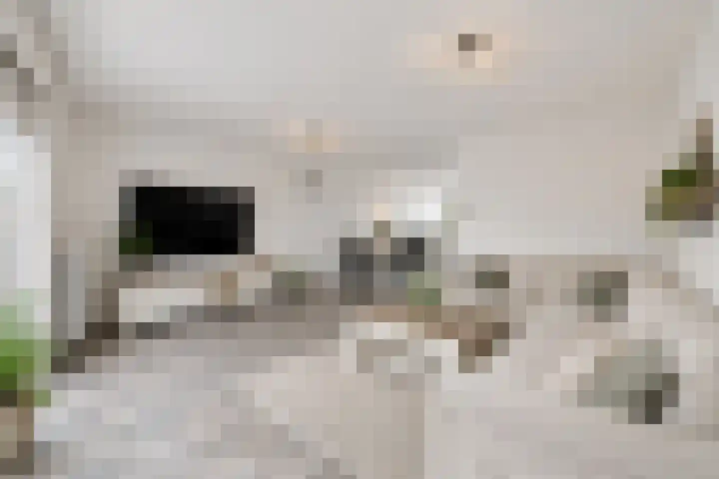 Aletta Jacobstuin 6 Heerhugowaard thumbnail 6