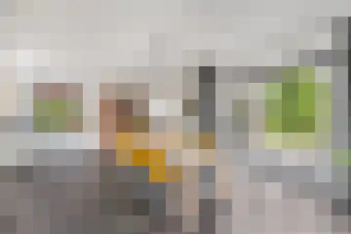 Aletta Jacobsweg 11 Heerenveen thumbnail 10