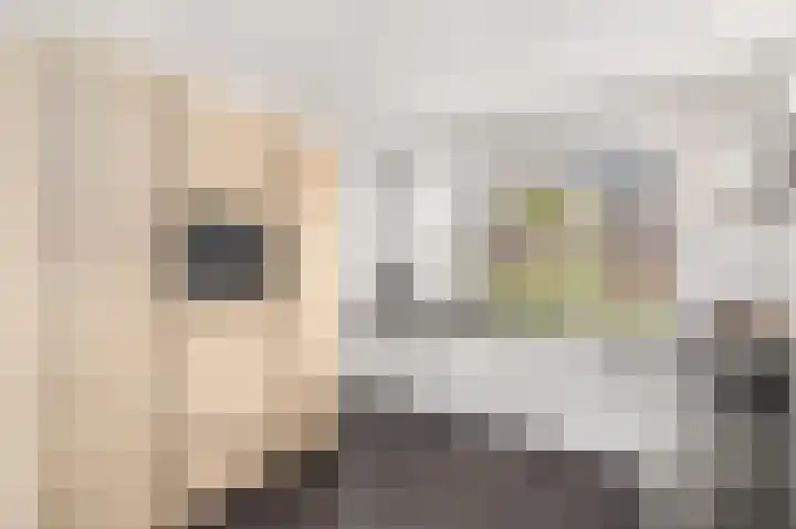 Aletta Jacobsweg 11 Heerenveen thumbnail 14
