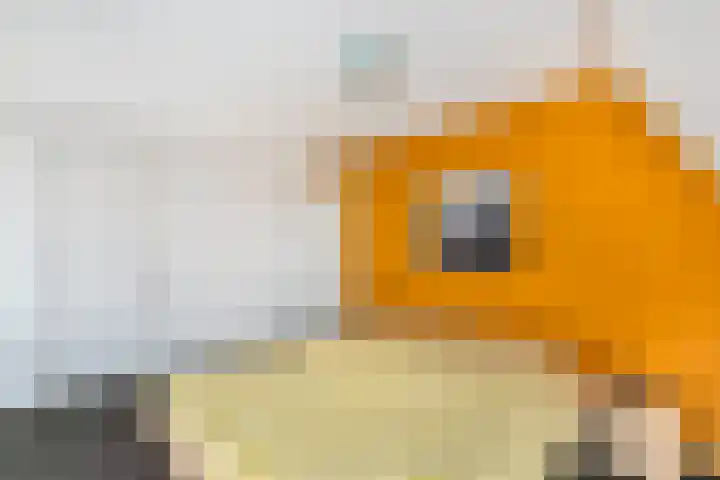 Aletta Jacobsweg 11 Heerenveen thumbnail 20