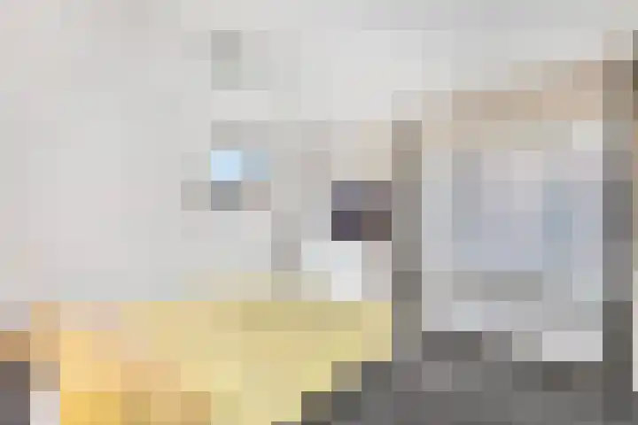Aletta Jacobsweg 11 Heerenveen thumbnail 21