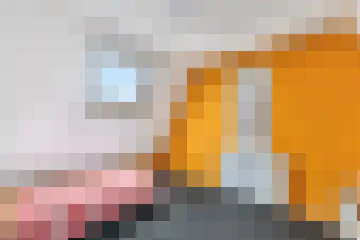 Aletta Jacobsweg 11 Heerenveen thumbnail 34