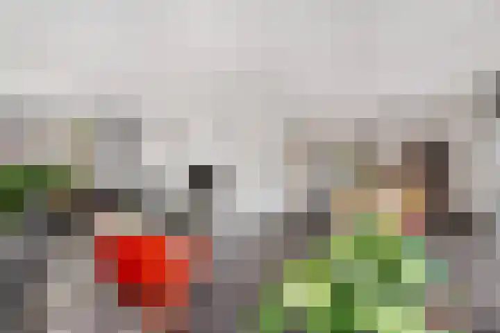 Aletta Jacobsweg 11 Heerenveen thumbnail 4