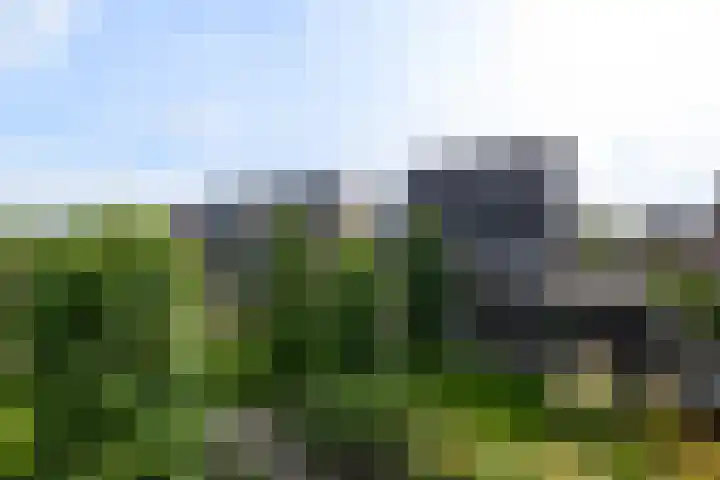 Aletta Jacobsweg 11 Heerenveen thumbnail 42
