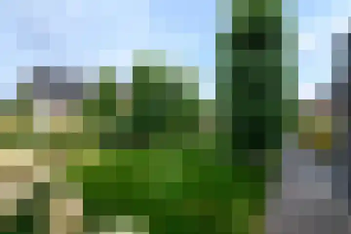 Aletta Jacobsweg 11 Heerenveen thumbnail 43