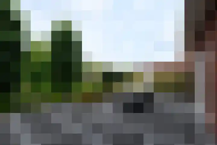 Aletta Jacobsweg 11 Heerenveen thumbnail 47