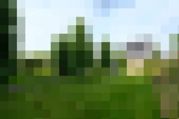 Aletta Jacobsweg 11 Heerenveen thumbnail 48