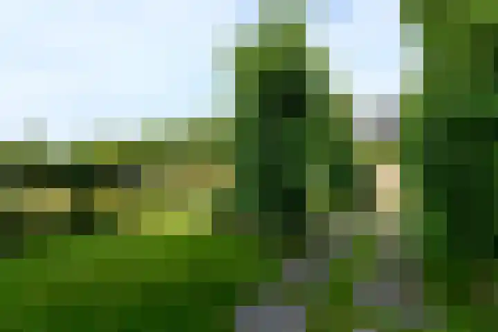 Aletta Jacobsweg 11 Heerenveen thumbnail 49