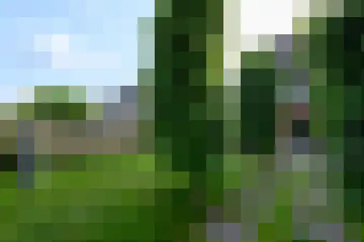 Aletta Jacobsweg 11 Heerenveen thumbnail 50