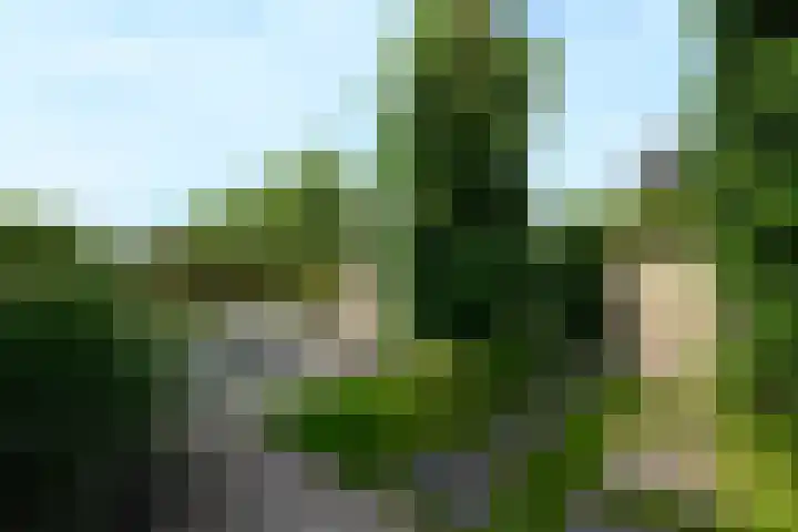 Aletta Jacobsweg 11 Heerenveen thumbnail 52
