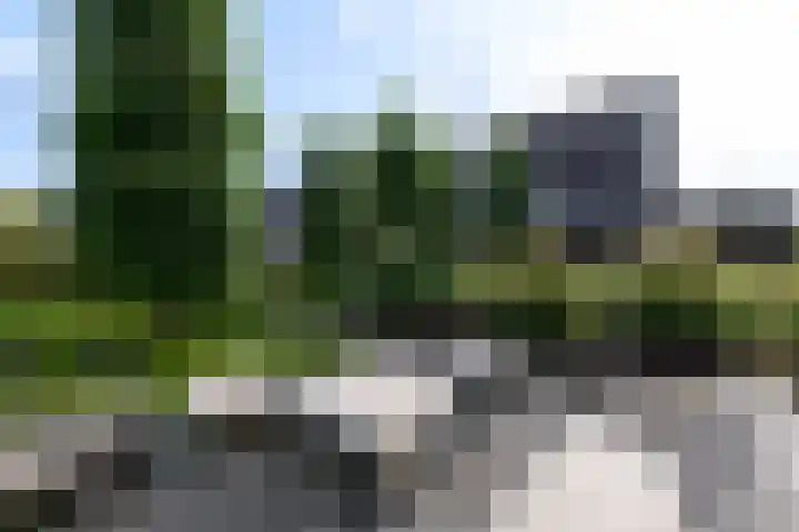 Aletta Jacobsweg 11 Heerenveen thumbnail 55