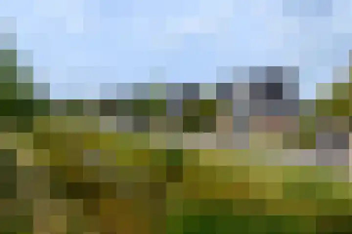 Aletta Jacobsweg 11 Heerenveen thumbnail 57