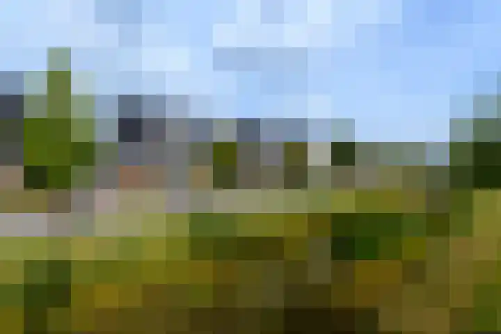 Aletta Jacobsweg 11 Heerenveen thumbnail 58