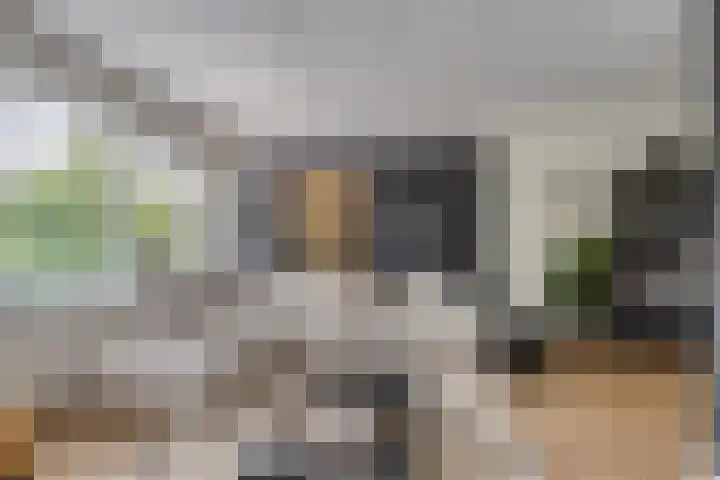 Aletta Jacobsweg 25 Assen thumbnail 13