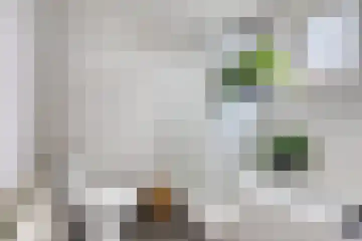 Aletta Jacobsweg 25 Assen thumbnail 29