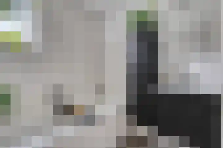 Aletta Jacobsweg 25 Assen thumbnail 30