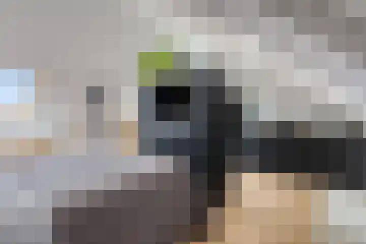 Aletta Jacobsweg 25 Assen thumbnail 34