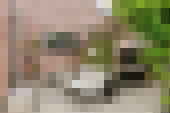 Aletta Jacobsweg 25 Assen thumbnail 37