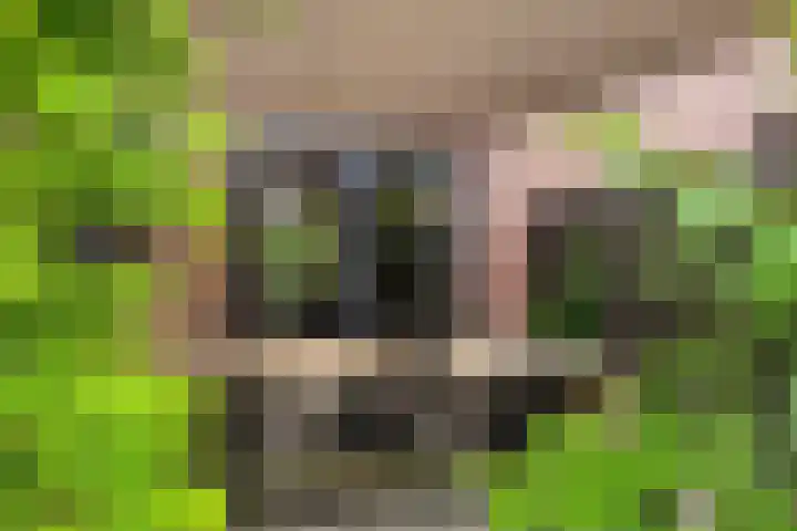 Aletta Jacobsweg 25 Assen thumbnail 38